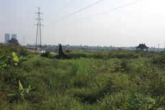 Cụm di chỉ Vườn Chuối tại xã Kim Chung (Hoài Đức, Hà Nội). (Ảnh: Mạnh Khánh/TTXVN)