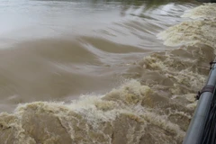 Ảnh minh họa. (Nguồn: TTXVN)