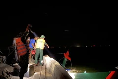 Lực lượng chức năng cùng người dân kéo tàu cá gặp nạn vào bờ. (Nguồn: plo.vn)