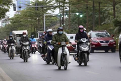 (Ảnh: Tuấn Đức/TTXVN)