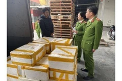 250kg cá khoai ướp phóc môn được đựng trong 25 thùng xốp bị lực lượng chức năng thu giữ. (Ảnh: Trịnh Duy Hưng/TTXVN)