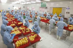 Chế biến sản phẩm dứa đóng hộp tại nhà máy của Công ty CP xuất nhập khẩu nông sản An Giang. (Ảnh: Vũ Sinh/TTXVN)