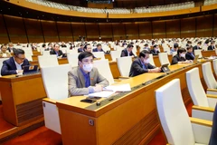 Đại biểu Quốc hội dự phiên họp. (Ảnh: Doãn Tấn/TTXVN)
