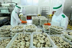 Chế biến ngao tại Công ty Lenger Việt Nam (Lenger Seafoods Vietnam) xuất khẩu sang EU, Anh, Nhật Bản, Mỹ, Hàn Quốc. (Ảnh: TTXVN)