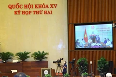 Đại biểu Quốc hội tỉnh Bình Định phát biểu trực tuyến. Ảnh: Văn Điệp/TTXVN)