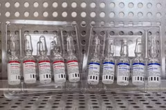 Vaccine Sputnik V phòng COVID-19 do Viện nghiên cứu dịch bệnh và vi trùng học Gamaleya của Nga phát triển. (Ảnh: Bloomberg/TTXVN)