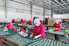 Công nhân làm việc trở lại sau thời gian giãn cách. (Ảnh: Huỳnh Phúc Hậu/TTXVN)