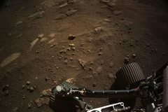 Hình ảnh do Cơ quan Hàng không và Vũ trụ Mỹ (NASA) cung cấp cho thấy tàu thám hiểm Perseverance di chuyển sau khi hạ cánh xuống bề mặt Sao Hỏa, ngày 21/2/2021. (Ảnh: AFP/TTXVN)