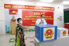 [Video] Phó Thủ tướng Trương Hòa Bình bỏ phiếu bầu tại TP.HCM