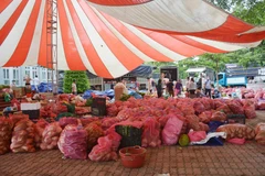 Điểm tập kết nông sản tại Tỉnh Đoàn Đắk Lắk chờ vận chuyển đi hỗ trợ cho các tỉnh phía Nam trong đợt dịch lần thứ 4. (Ảnh: Hoài Thu/TTXVN)