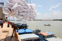 Nắm chắc tình hình xuất khẩu, nhập khẩu thóc gạo qua biên giới