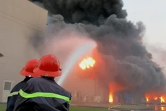 Sakata Bình Dương xem xét chuyển đơn hàng sang Bắc Ninh 