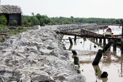 Cửa biển Khánh Hội tại Cà Mau ngày càng sạt lở nghiêm trọng