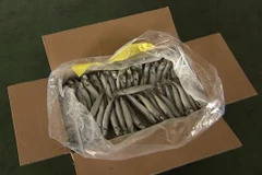 Bỏ thuốc chuột, phân người vào hàng xuất khẩu để được nghỉ việc