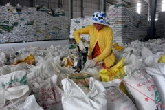 Đồng bằng sông Cửu Long đã xuất khẩu trên 4 triệu tấn gạo