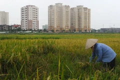 [Mega Story] Việt Nam - Hình mẫu của phát triển bền vững