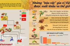 Những “báu vật” gia vị Việt được xuất khẩu ra thế giới