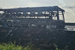 (Ảnh minh họa: TTXVN phát)