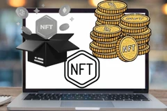 Ảnh minh họa. (Nguồn: Vietnam+)