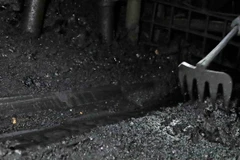 (Ảnh minh họa: Trần Việt/TTXVN)