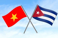 Ảnh minh họa. (Nguồn: Vietnam+)