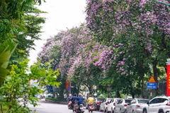 Đường phố Hà Nội. (Ảnh: Khánh Hòa/TTXVN)