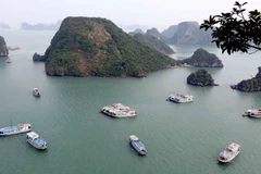 Phần lớn đảo đá trong vịnh Hạ Long là đảo đá vôi, trong đó vùng lõi của Vịnh có diện tích 335 km2 quần tụ dày đặc 775 hòn đảo. (Ảnh: Quang Quyết/TTXVN)