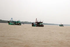 (Ảnh minh họa: Trung Hiếu/TTXVN)