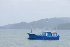 (Ảnh: Tiên Minh/TTXVN)