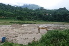 (Ảnh minh họa: Quang Duy/TTXVN)