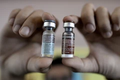 Vắcxin Dengvaxia trong chương trình tiêm chủng tại một trường tiểu học ở ngoại ô Manila ngày 4/4/2016. (Nguồn: AFP/TTXVN)