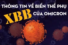 [Infographics] Thông tin về biến thể phụ XBB của Omicron