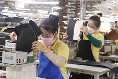 Các chương trình, chính sách phục hồi kinh tế trên địa bàn tỉnh Long An đã phát huy hiệu quả. (Ảnh: Bùi Giang/TTXVN)