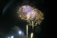 (Ảnh minh họa: Công Tường/TTXVN)