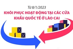 Khôi phục hoạt động tại các cửa khẩu quốc tế ở Lào Cai