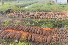 (Ảnh minh họa: TTXVN phát)