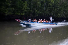 Du khách khám phá rừng ngập mặn Cà Mau. (Ảnh: Hồng Đạt/TTXVN)