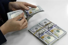 Hoạt động nghiệp vụ tại Ngân hàng TMCP Công Thương Việt Nam (ảnh tư liệu). (Ảnh: Trần Việt/TTXVN)