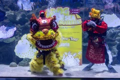 Các thợ lặn trong trang phục Thất Phúc Thần và rồng thiêng trình diễn đón Năm mới Quý Mão tại Kuala Lumpur, Malaysia ngày 18/1/2023. (Ảnh: THX/TTXVN)