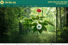 Trang chủ của Công ty cổ phần Tập đoàn Y dược sâm Ngọc Linh Việt Nam. (Nguồn: Vietnam+)