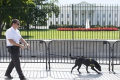 Nhà Trắng yêu cầu Cơ quan mật vụ giải trình về lỗ hổng an ninh