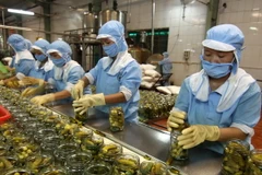 Hỗ trợ doanh nghiệp thâm nhập thị trường thực phẩm Hàn Quốc