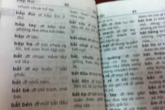 Nhà xuất bản Trẻ thừa nhận sai sót trong vụ "Từ điển Vũ Chất"