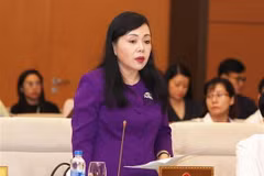 Bộ trưởng Bộ Y tế Nguyễn Thị Kim Tiến phát biểu. (Ảnh: Nguyễn Dân/TTXVN)