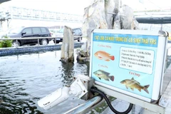 Hệ thống bể cá sinh thái trong Khu công nghiệp. (Ảnh: Thống Nhất/TTXVN) Ngày 22/9, Bộ Tài nguyên và Môi trường đã công khai kết quả 