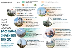 [Infographics] Xử lý 12 dự án thua lỗ: Đã có chuyển biến tích cực