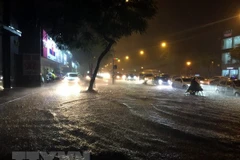 Ảnh minh họa. (Nguồn: TTXVN)