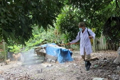 Cán bộ thú y phun khử trùng cho nhà dân khu vực xung quanh ổ dịch cúm A/H5N6 tại xã An Hồng, An Dương, Hải Phòng. (Ảnh: Minh Thu/TTXVN)