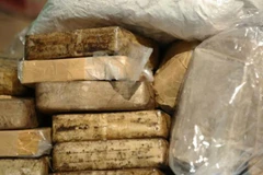 LHQ và các nước Mekong hợp tác đấu tranh chống tội phạm ma túy