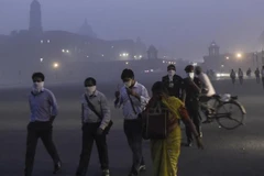 Thủ đô của Ấn Độ cấm sử dụng máy phát điện chạy dầu diesel